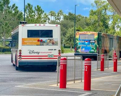 How to Find Bus Times 